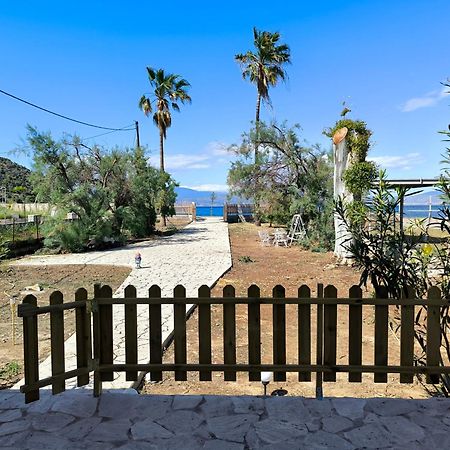 Palm Tree House By The Beach Skhoínos Dış mekan fotoğraf