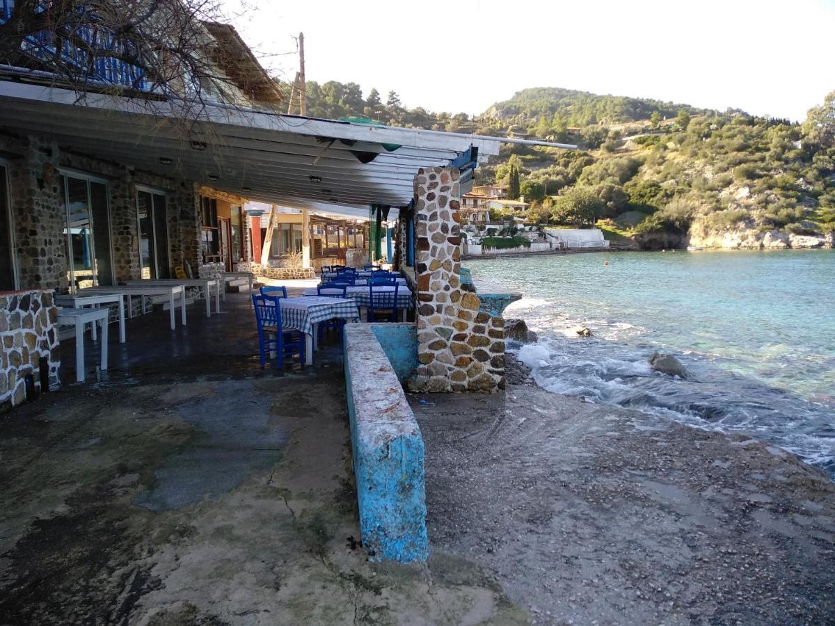 Palm Tree House By The Beach Skhoínos Dış mekan fotoğraf