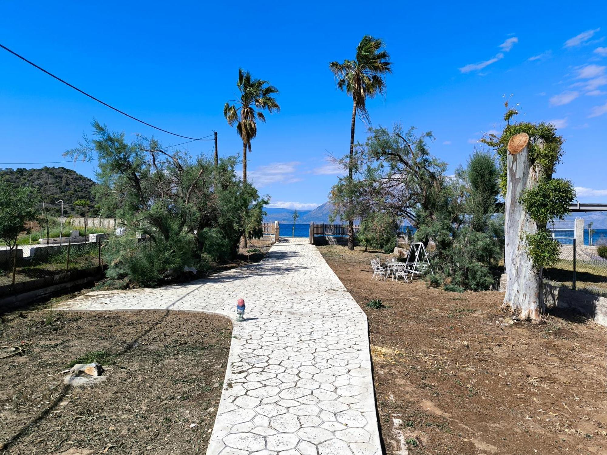 Palm Tree House By The Beach Skhoínos Dış mekan fotoğraf