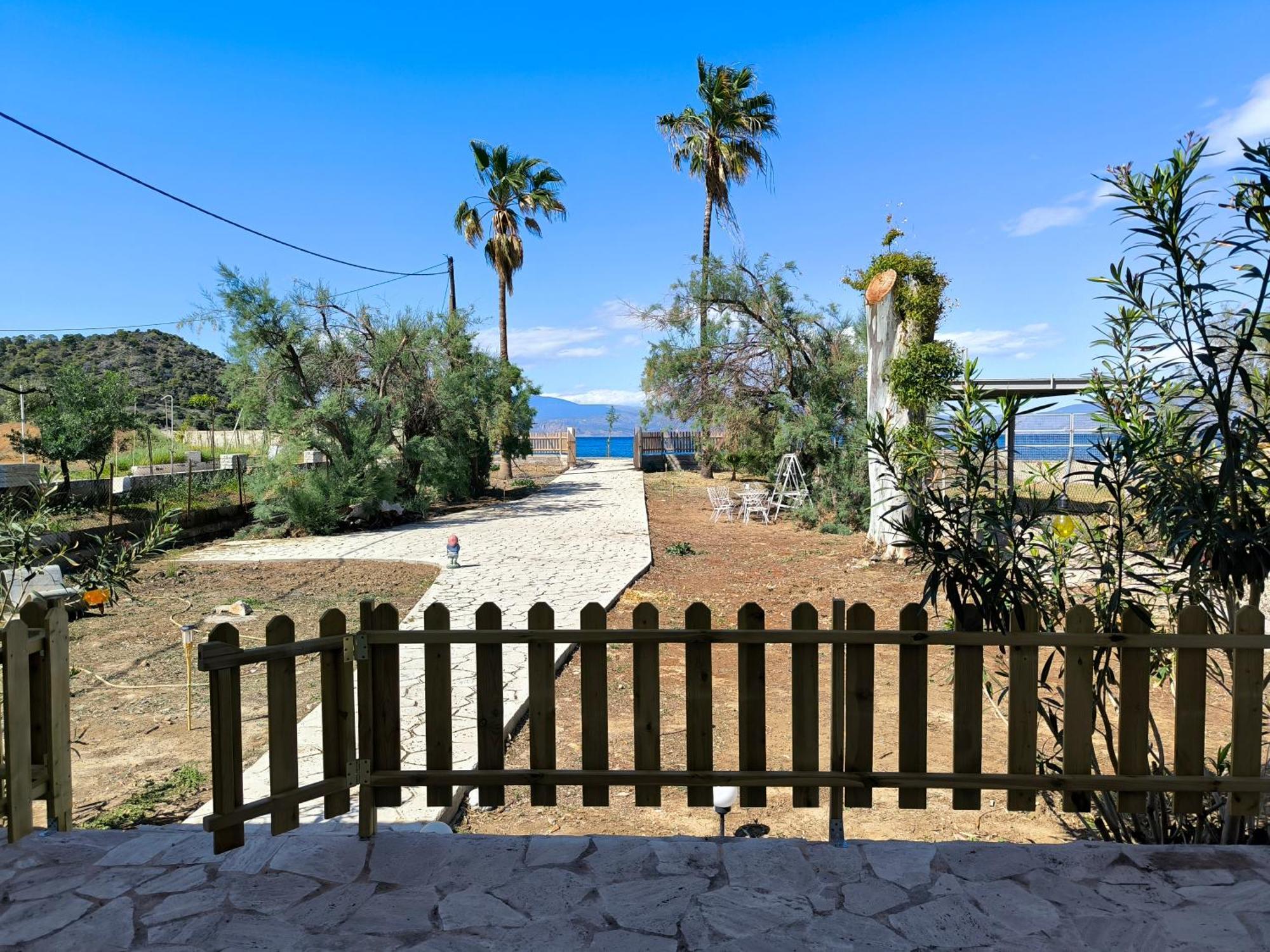 Palm Tree House By The Beach Skhoínos Dış mekan fotoğraf